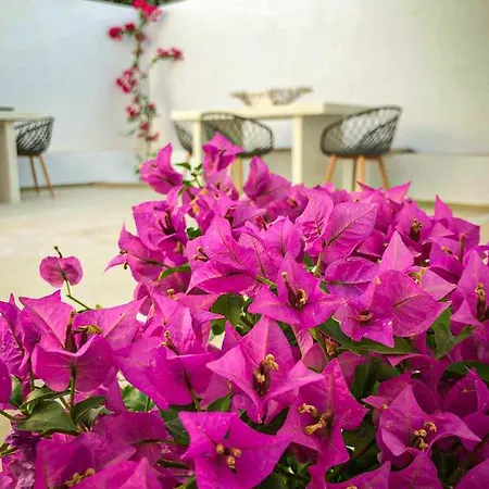 Ds Traditional Villas Santorini Island Karterados  Exterior foto