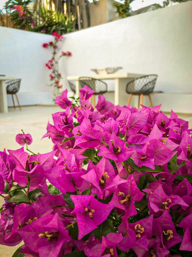 Villa Ds Traditional Santorini Island